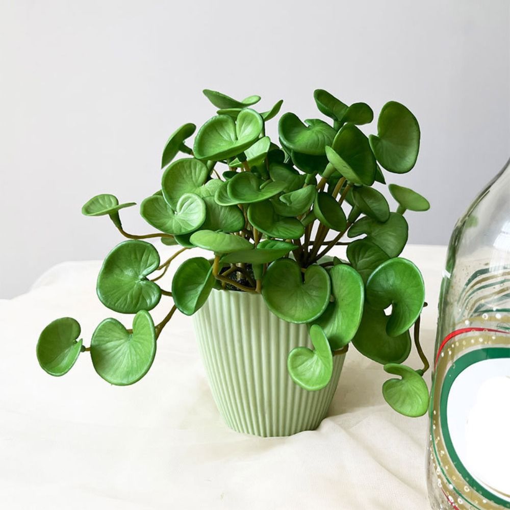 Soft Glue Artificial Plant EVA - Home Office Layout recension och pris