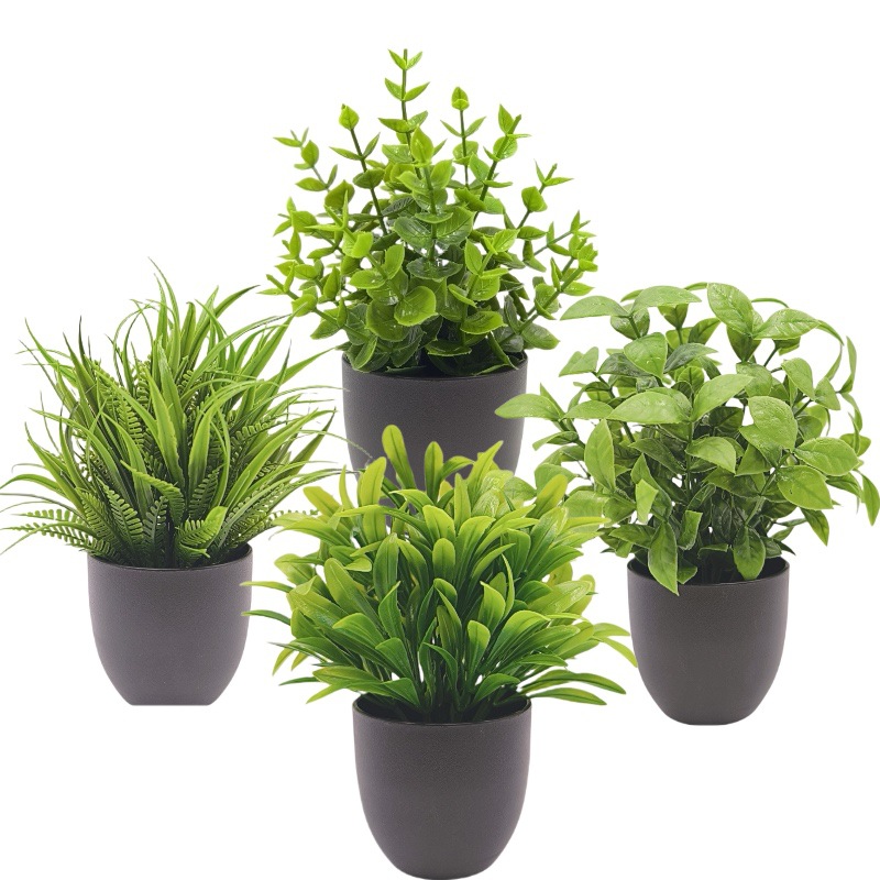 Simulation Green Plant Bonsai  - Home Office Layout recension och pris