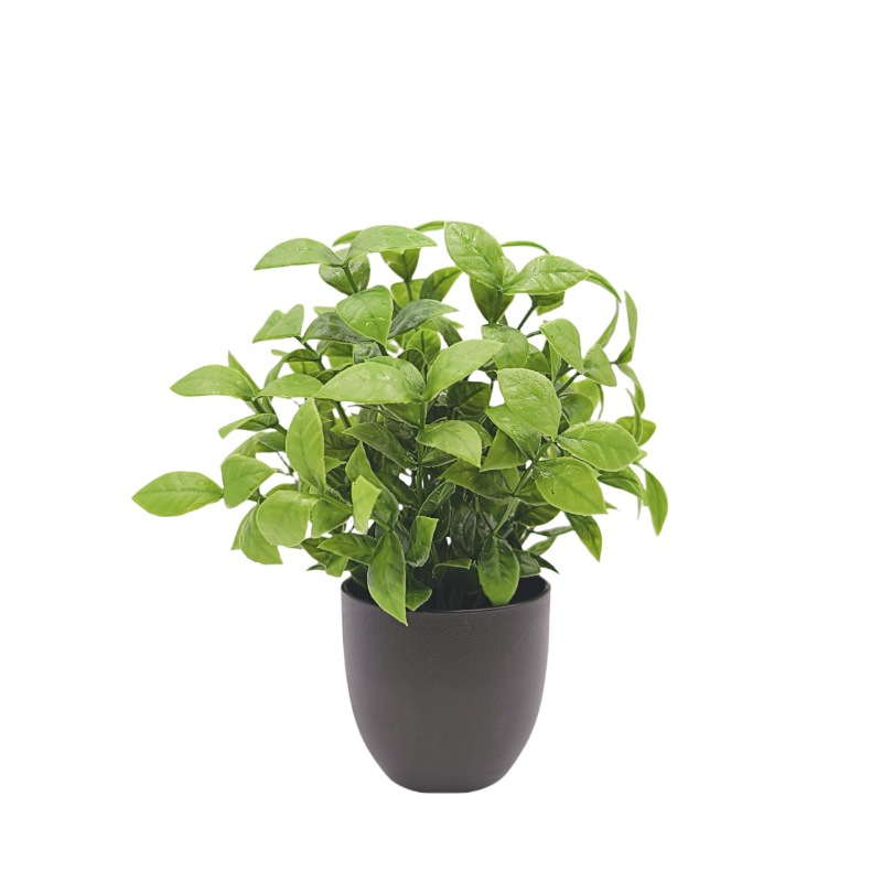 Simulation Green Plant Bonsai  - Home Office Layout recension och pris