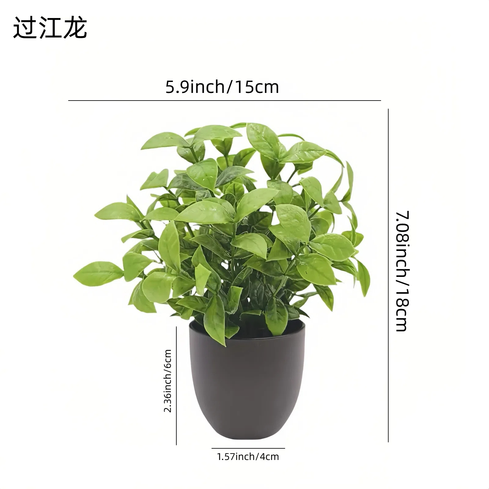Simulation Green Plant Bonsai  - Home Office Layout recension och pris
